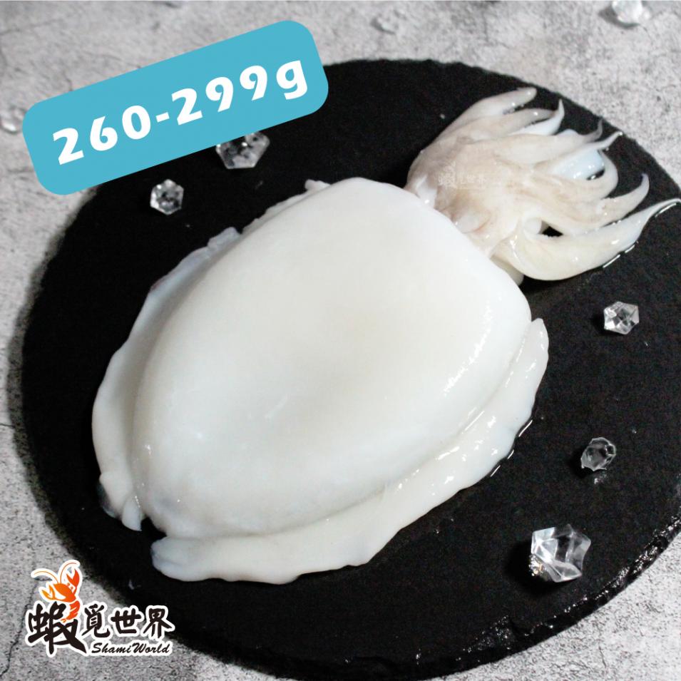 台灣野生花枝(260-299g)