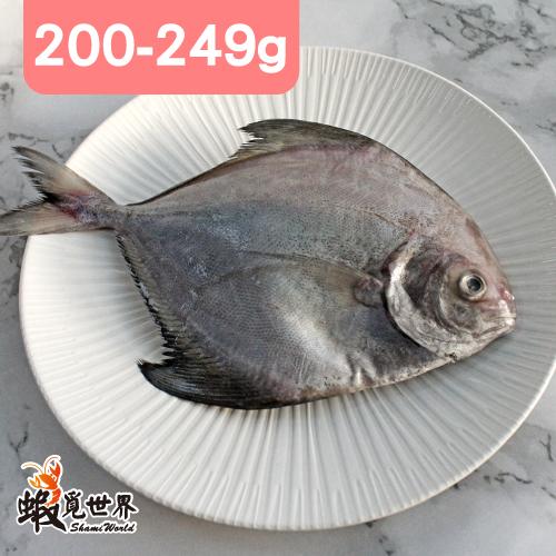 台灣野生黑鯧魚(200-249g)