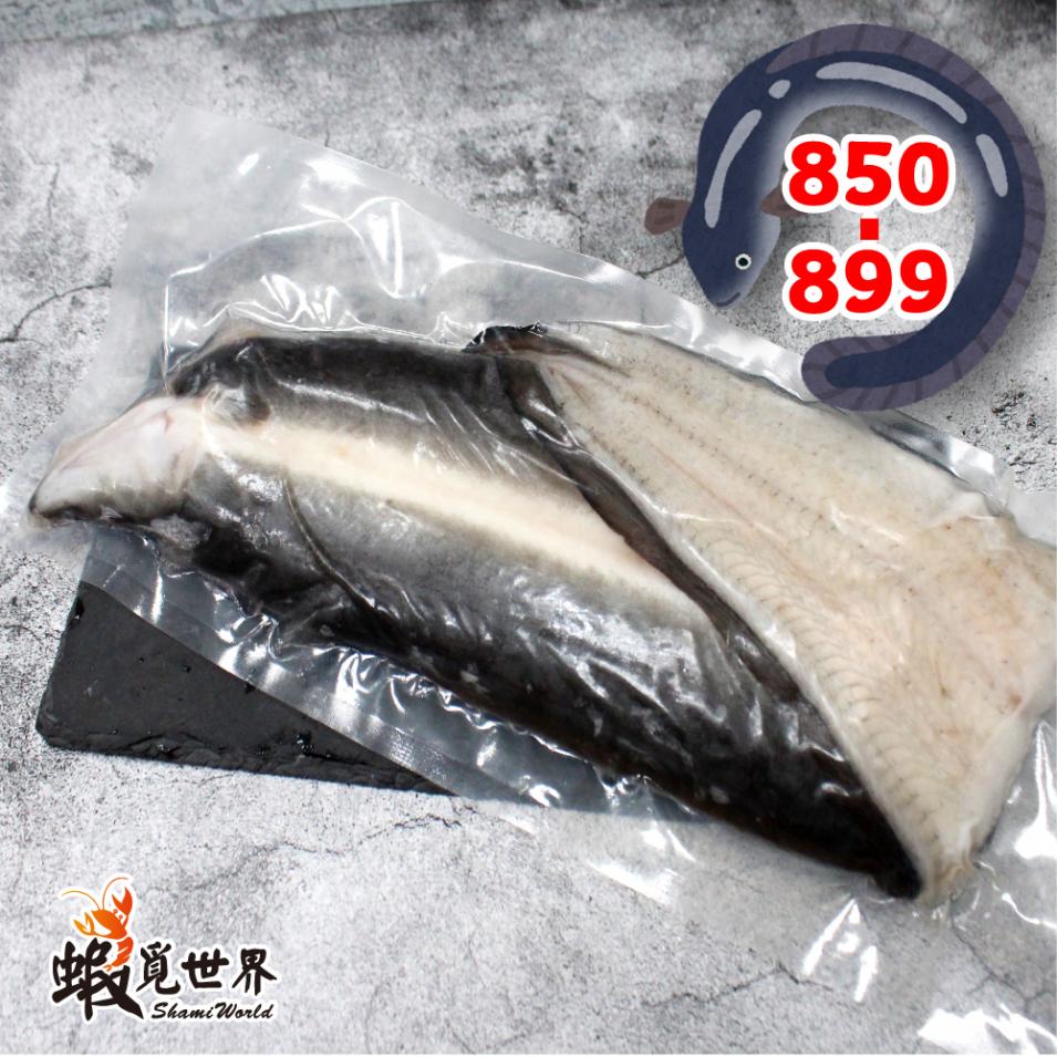 生鮮白鰻片(850-899g)