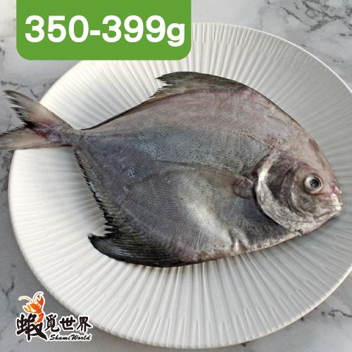 台灣野生黑鯧魚(350-399g)