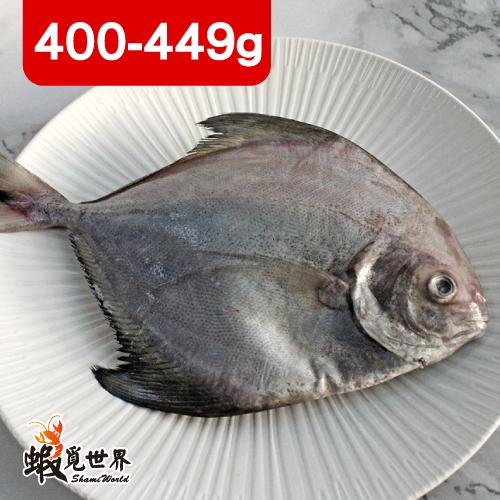 台灣野生黑鯧魚(400-449g)